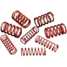 High-Lift Valve Spring Kit
