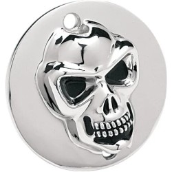 3-D Skull Points Cover