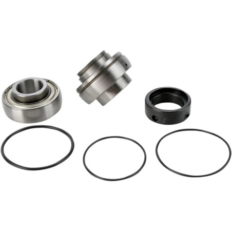 Chain Case Bearing and Seal Kit