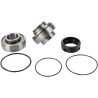 Chain Case Bearing and Seal Kit