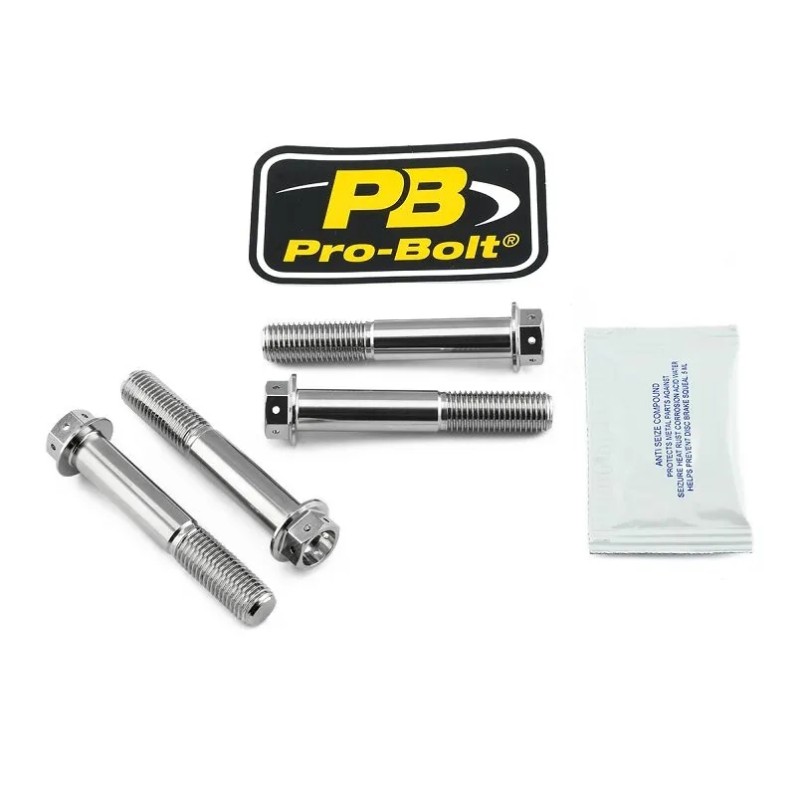 Stainless Steel Caliper Mount Bolt kit