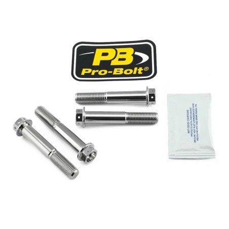 Stainless Steel Caliper Mount Bolt kit