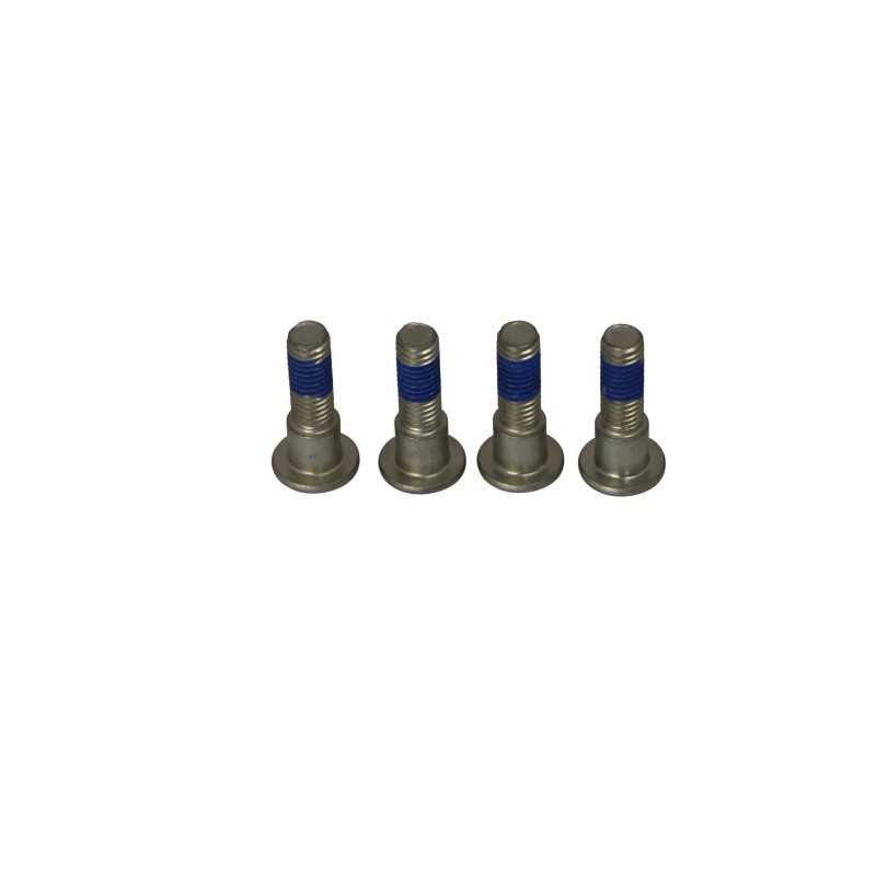 Brake Rotor Bolt Set