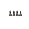 Brake Rotor Bolt Set
