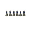 Brake Rotor Bolt Set