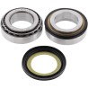 Steering Stem Tapered Roller Bearings and Seals Kit