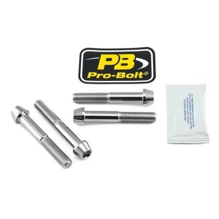 Stainless Steel Caliper Mount Bolt kit