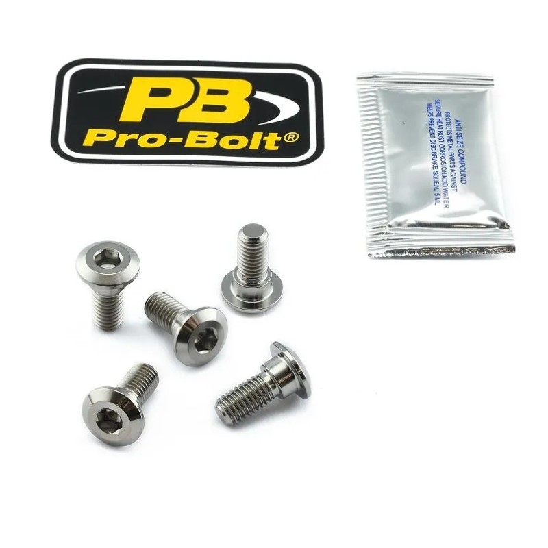 Titanium Brake Rotor Mounting Bolt Kit