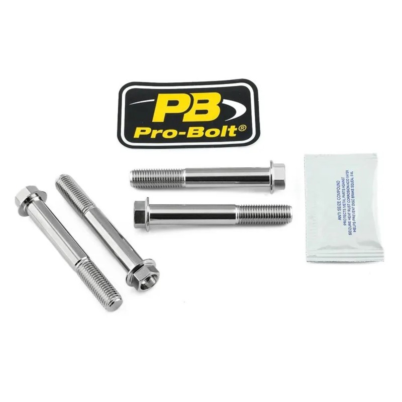 Stainless Steel Caliper Mount Bolt kit
