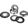 Steering Stem Bearing Kit