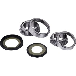 Steering Stem Bearing Kit