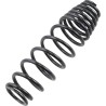 Front Rear Progressive Rate Shock Spring