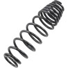 Front Rear Progressive Rate Shock Spring