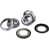 Steering Stem Bearing Kit