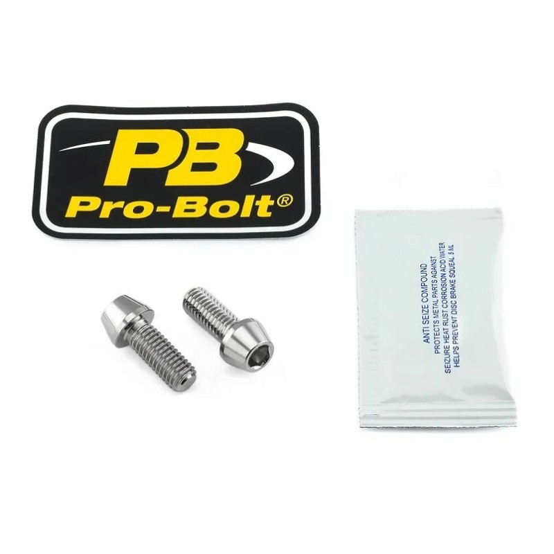 Stainless Steel Caliper Mount Bolt kit