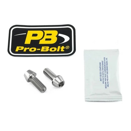 Stainless Steel Caliper Mount Bolt kit