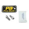 Stainless Steel Caliper Mount Bolt kit