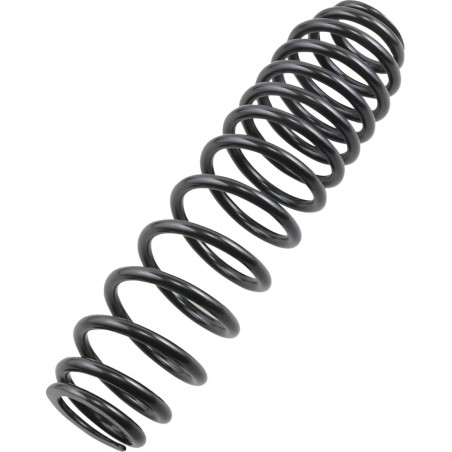 Front Rear Progressive Rate Shock Spring