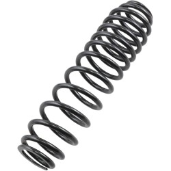 Front Rear Progressive Rate Shock Spring