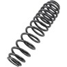 Front Rear Progressive Rate Shock Spring