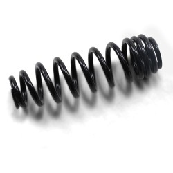 Front Rear Progressive Rate Shock Spring