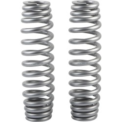 Lift Springs