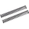 Fork Springs for FGK Cartridge Kit