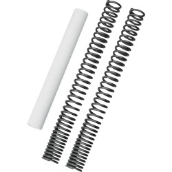 Fork Spring Kit