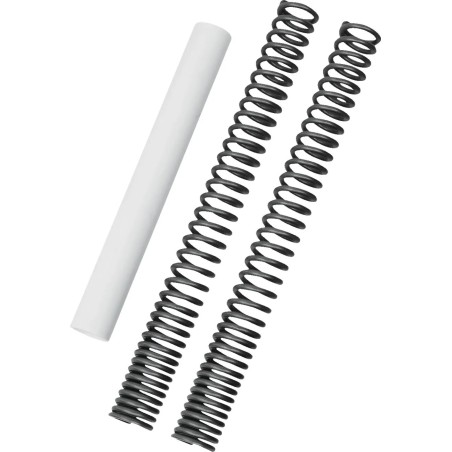 Fork Spring Kit
