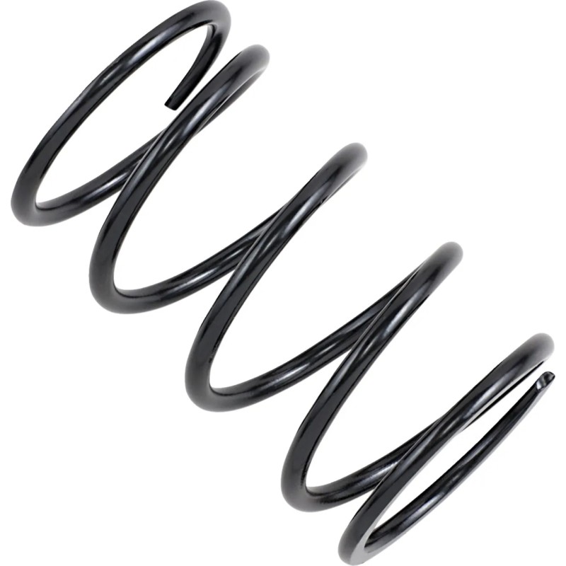 Secondary Clutch Spring