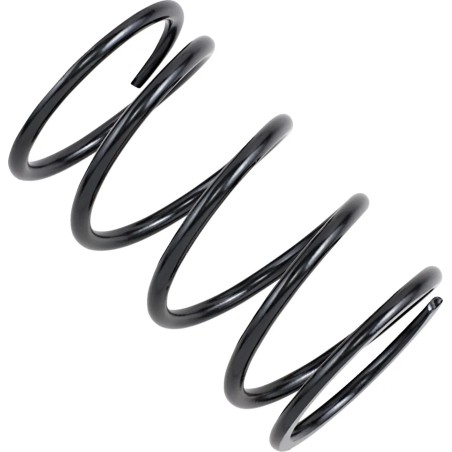 Secondary Clutch Spring