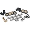 Rear Independent Suspension Linkage Rebuild Kit
