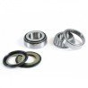 SWINGARM BEARING KIT