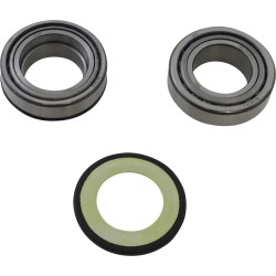 Steering Stem Tapered Roller Bearings and Seals Kit