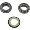 Steering Stem Tapered Roller Bearings and Seals Kit