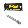 Brake Caliper Pin