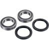 Axle Bearing Kit