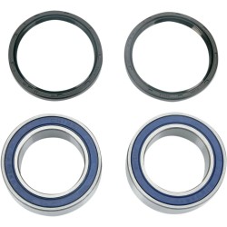 Rear Wheel Bearing Upgrade Kit