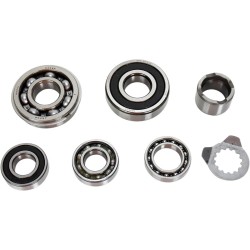 Transmission Bearing Kit