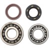 Main Crankshaft Bearing and Seal Kit