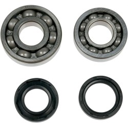 Crankshaft Bearing and Seal Kit