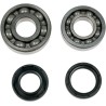 Crankshaft Bearing and Seal Kit