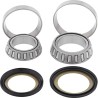 Steering Stem Bearing Kit