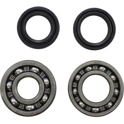 Main Bearing and Seal Kit