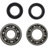 Main Bearing and Seal Kit