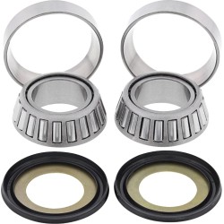 Steering Stem Bearing Kit