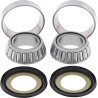 Steering Stem Bearing Kit