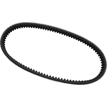 HPX High Performance Extreme Belt