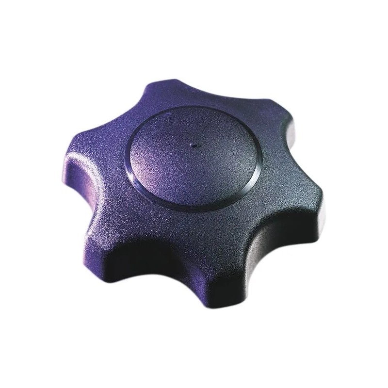 Gas and Oil Tank Cap