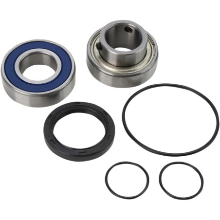 Chain Case Bearing and Seal Kit
